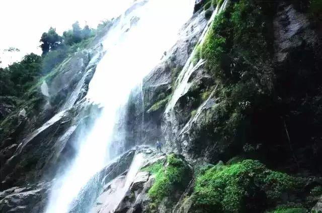 沪江开心词场